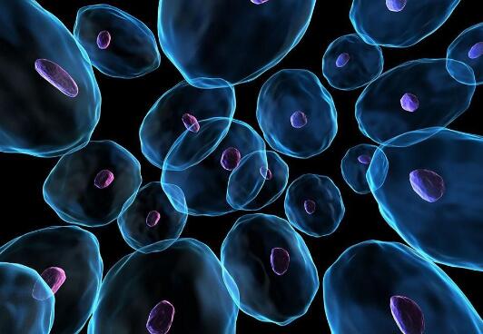 1522387830581927.jpg QQ截圖20180330133613.jpg