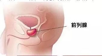 1525312316956400.jpg 111.jpg