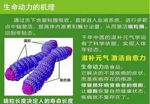 1554181571155485.jpg 23.jpg