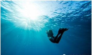 1478577837694489.jpg sjys002.jpg