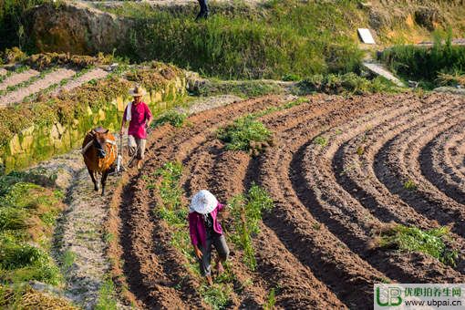 擱荒問題的三大解決方法