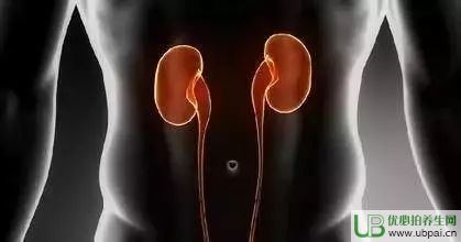 ٵ˥ϕrgˣ˥Ϸ@֪翹˥