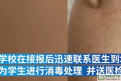 ώÈAҎ(gu)δI(y)W(xu)ô