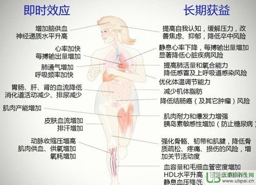 10種方法幫你提高代謝率,燃燒熱量 10種方法幫你提高代謝率,燃燒熱量
